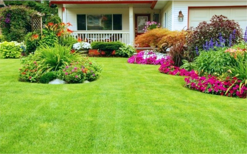 Manutenção de Gramado