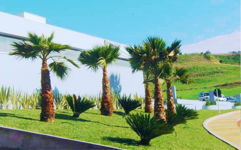 Manutenção de Jardim