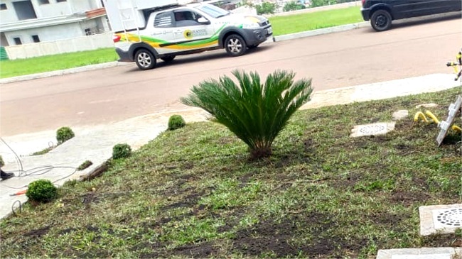 Manutenção em Jardins grandes ou pequenos | PG Girassol Jardinagem